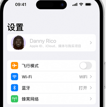 平潭appleID维修服务iPhone设置中Apple ID显示为灰色无法使用 