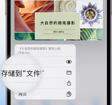 平潭apple维修中心分享iPhone文件应用中存储和找到下载文件