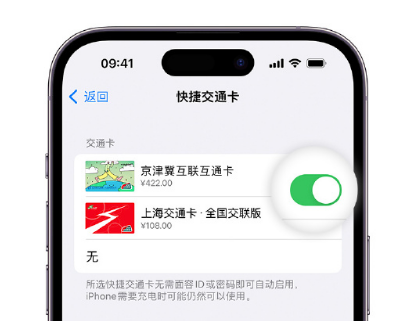 平潭apple维修点分享iPhone上更换Apple Pay快捷交通卡手绘卡面 