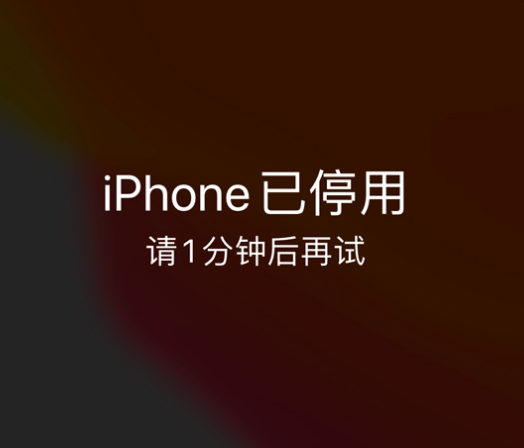 平潭苹果手机维修分享:iPhone 显示“不可用”或“已停用”怎么办？还能保留数据吗？ 