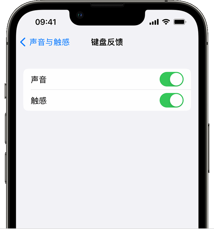 平潭苹果14维修店分享如何在 iPhone 14 机型中使用触感键盘 