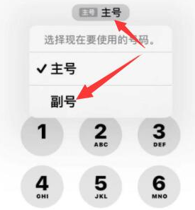 平潭苹果14维修店分享iPhone 14 Pro Max使用副卡打电话的方法 