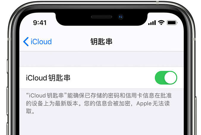 平潭苹果手机维修分享在 iPhone 上开启 iCloud 钥匙串之后会储存哪些信息 