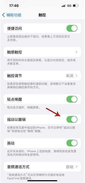 平潭苹果手机维修分享iPhone手机如何设置摇一摇删除文字 