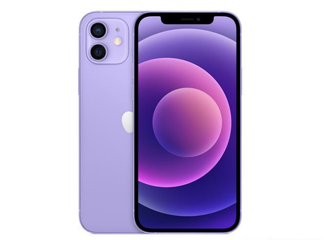 平潭苹果手机维修分享现阶段要不要入手紫色版iPhone12 