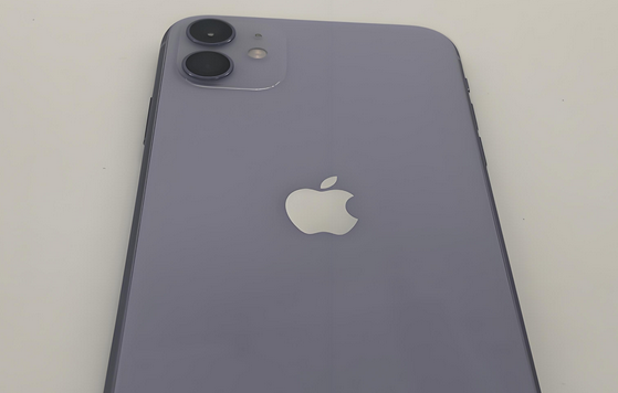 平潭苹果11系统维修分享iPhone11手机系统崩溃无法开机如何解决 